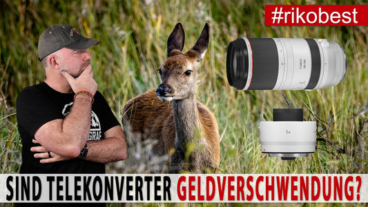 Fotografieren mit Telekonverter lohnt sich das? Der Irrtum über Telekonverter in der Fotografie