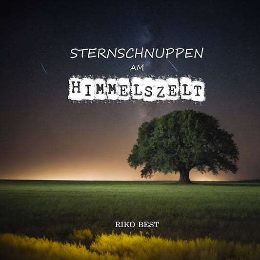 Sternschnuppen am Himmelszelt - Musik - Single