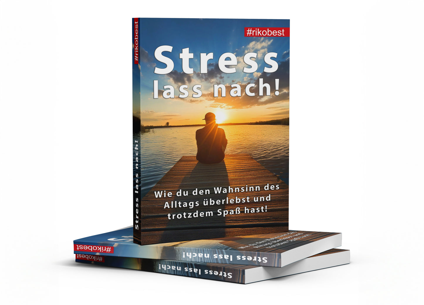 Stress lass nach! Wie du den Wahnsinn des Alltags überlebst und trotzdem Spaß hast - Riko Best